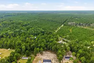 2919 Jones Swamp Rd, Walterboro, SC 29488 - Photo 4