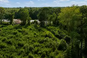 00 Whitesville Rd, Moncks Corner, SC 29461 - Photo 1