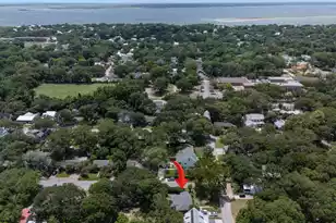 743 Sinlea Ave, Mount Pleasant, SC 29464 - Photo 54