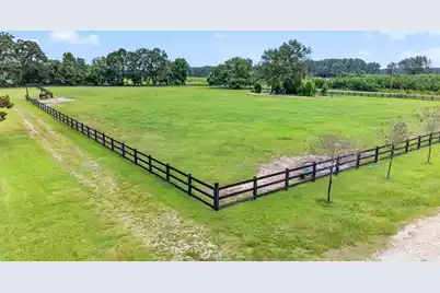 294 Nates Store Road, Cameron, SC 29030 - Photo 38