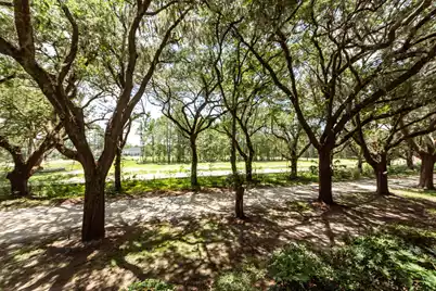 60 Fenwick Hall Allee #227, Johns Island, SC 29455 - Photo 6