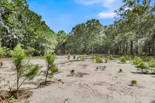 7971 Hwy 162, Hollywood, SC 29449 - Photo 46