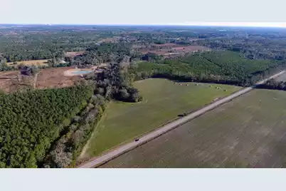 0 Rocks Pond Road #Lot X, Eutawville, SC 29048 - Photo 4