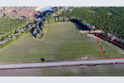 0 Rocks Pond Road #Lot X, Eutawville, SC 29048 - Photo 2
