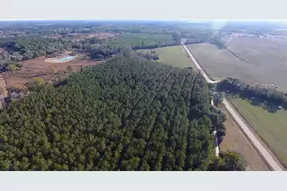 0 Rocks Pond Road #Lot F, Eutawville, SC 29048 - Photo 2