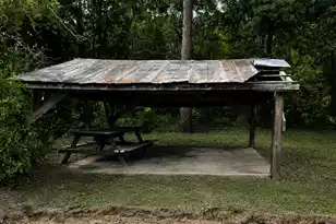 306 Hampton Street E, Elloree, SC 29047 - Photo 18