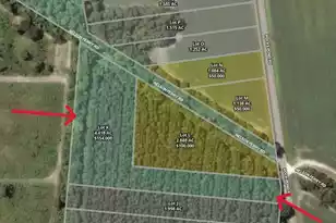 0 Rocks Pond Road #Lot K, Eutawville, SC 29048 - Photo 1