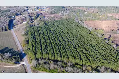 0 Rocks Pond Road #Lot K, Eutawville, SC 29048 - Photo 6