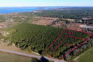 0 Rocks Pond Road #Lot L, Eutawville, SC 29048 - Photo 1