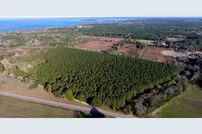 0 Rocks Pond Road #Lot L, Eutawville, SC 29048 - Photo 4