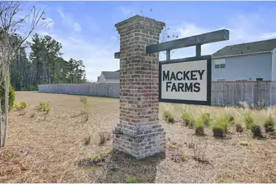272 Clydesdale Circle, Summerville, SC 29486 - Photo 42