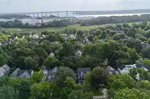 2229 Daniel Island Dr, Charleston, SC 29492 - Photo 6
