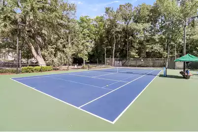 4066 Blackmoor Street, Mount Pleasant, SC 29466 - Photo 78