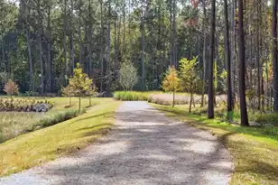 1015 Toadfish Run, Summerville, SC 29485 - Photo 18