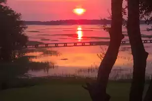 1358 Polly Point Rd, Wadmalaw Island, SC 29487 - Photo 68