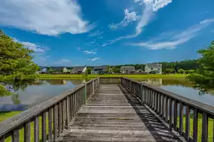 2017 Bridlewood Farms Pkwy, Ridgeville, SC 29472 - Photo 44