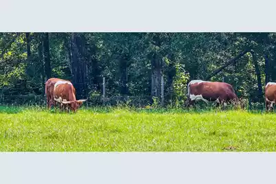 164 Haymakers Lane, Walterboro, SC 29488 - Photo 16