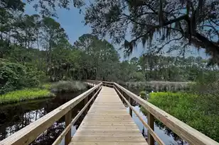 3505 Flowering Oak Way, Mount Pleasant, SC 29466 - Photo 96