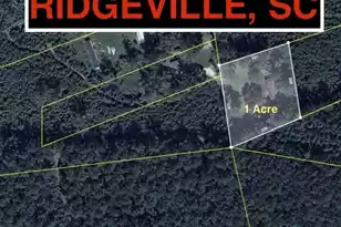 217 Joe Felder Rd, Ridgeville, SC 29472 - Photo 1