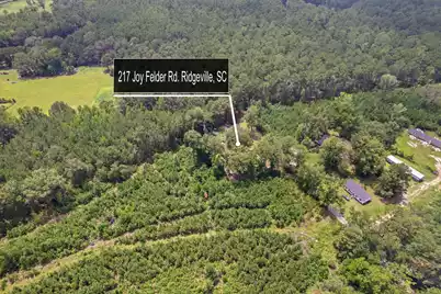 217 Joe Felder Road, Ridgeville, SC 29472 - Photo 2