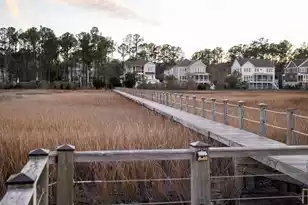 1585 John Fenwick Ln, Johns Island, SC 29455 - Photo 74