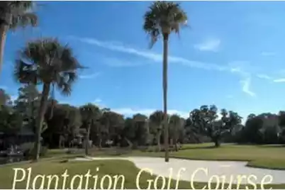 329 Sea Cloud Circle #329, Edisto Island, SC 29438 - Photo 24