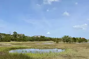 831 Hammocks Way, Edisto Island, SC 29438 - Photo 36