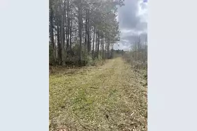 None Yet Forest Drive, Hemingway, SC 29554 - Photo 2