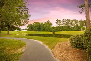 76 Crossandra Ave, Summerville, SC 29483 - Photo 60