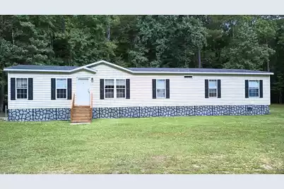 173 Gum Branch Road, Saint George, SC 29477 - Photo 1