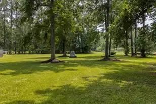 822 Hwy 61, Ridgeville, SC 29472 - Photo 4