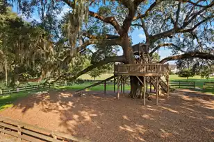 104 Starling St, Summerville, SC 29483 - Photo 64