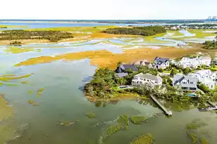 168 Nobels Point St, Charleston, SC 29492 - Photo 6