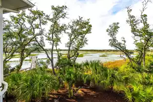 168 Nobels Point St, Charleston, SC 29492 - Photo 46
