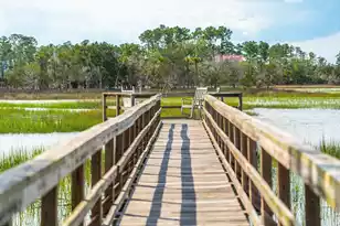168 Nobels Point St, Charleston, SC 29492 - Photo 90