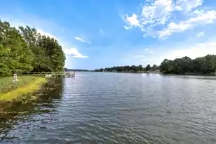 65 Reedy Ct, Manning, SC 29102 - Photo 14