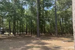 1323 Pleasure Dr, Summerton, SC 29148 - Photo 4