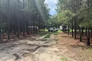 187 Tiny LN, Smoaks, SC 29481 - Photo 1