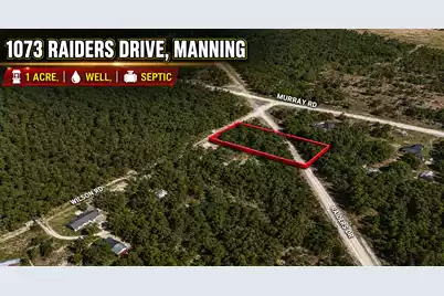 1073 Raiders Drive, Manning, SC 29102 - Photo 1