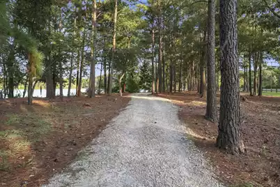 121 Dixie Iris Way, Summerville, SC 29485 - Photo 48