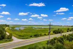 2262 Folly Rd #1A, Charleston, SC 29412 - Photo 32