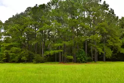 0 Palmetto Avenue, Saint Stephen, SC 29479 - Photo 1