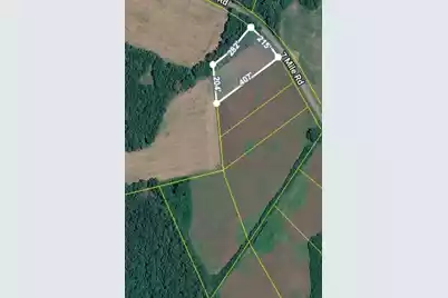 Lot 1 7 Mile Road, Harleyville, SC 29448 - Photo 2