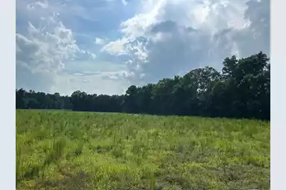 Lot 1 7 Mile Road, Harleyville, SC 29448 - Photo 1