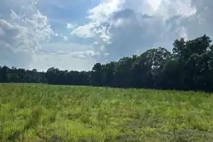 Lot 1 7 Mile Rd, Harleyville, SC 29448 - Photo 1