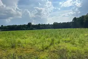 Lot 2 7 Mile Rd, Harleyville, SC 29448 - Photo 1