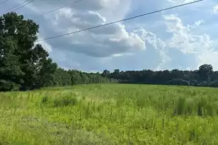 Lot 4 7 Mile Rd, Harleyville, SC 29448 - Photo 1