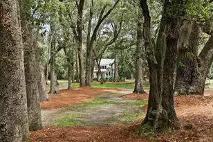 799 Sonny Boy Ln, Johns Island, SC 29455 - Photo 102