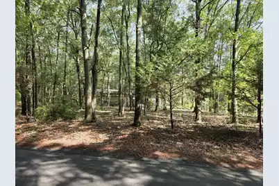 129 Knott Drive, Eutawville, SC 29048 - Photo 6