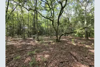 129 Knott Drive, Eutawville, SC 29048 - Photo 8